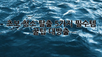 ✨초보 청소 탈출!✨ 5가지 필수템 & 꿀팁 대방출