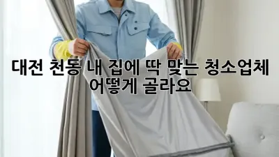 대전 천동 내 집에 딱 맞는 청소업체, 어떻게 골라요?
