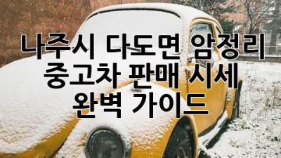 나주시 다도면 암정리 중고차 판매 시세 완벽 가이드